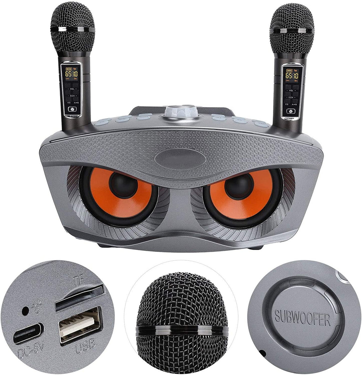 SDRD SD-306 Plus Karaoke Speaker system with 2 Mic – TEQ PTY LTD