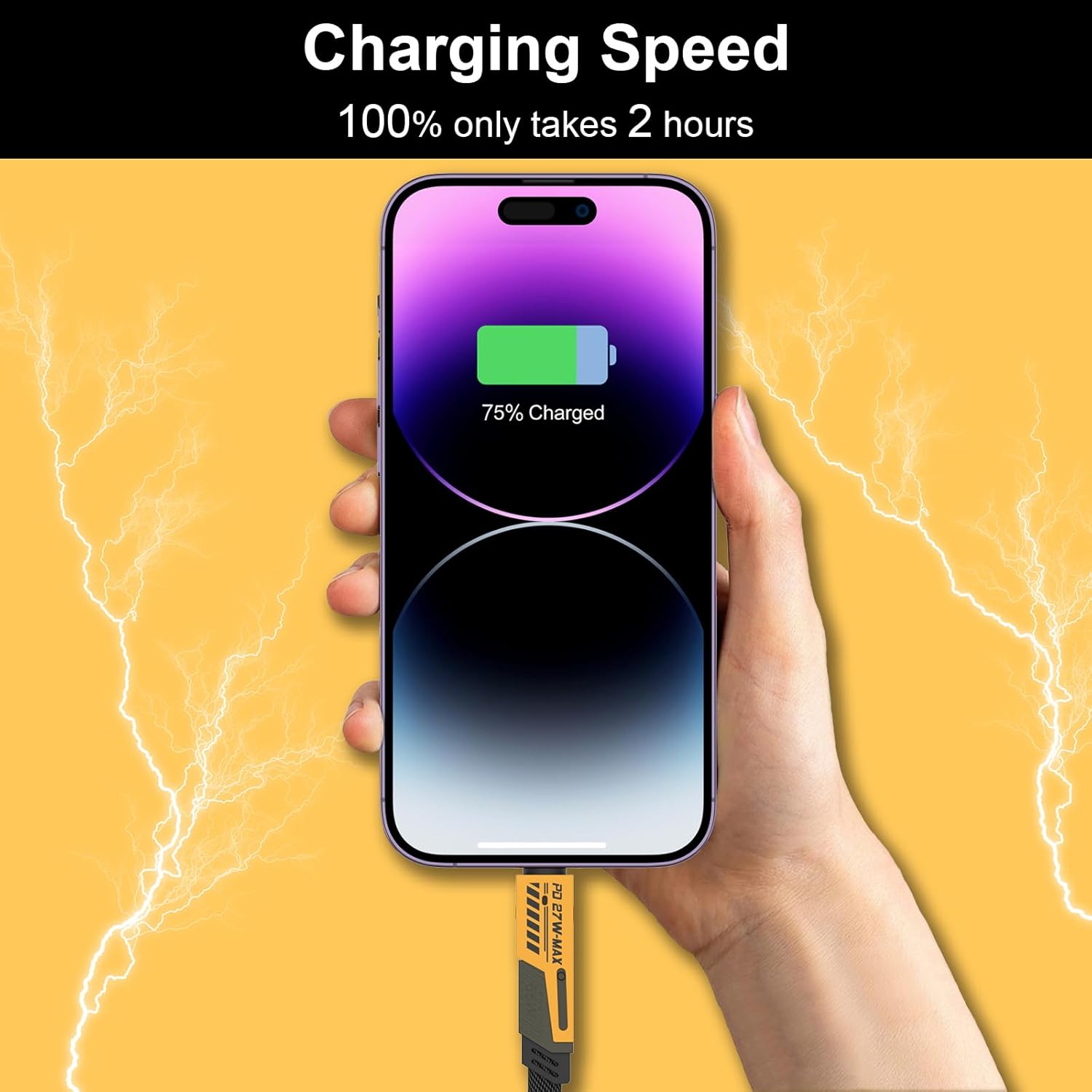 4 in 1 USB C to Lightning Cable