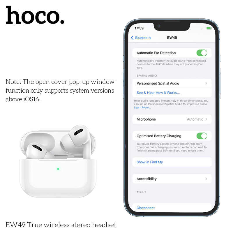 HD_SYNC:EW49 True wireless stereo headset