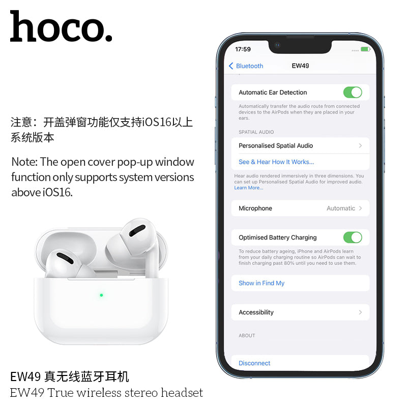 HD_SYNC:EW49 True wireless stereo headset