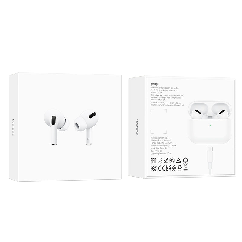 HD_SYNC:EW75 True wireless stereo headset