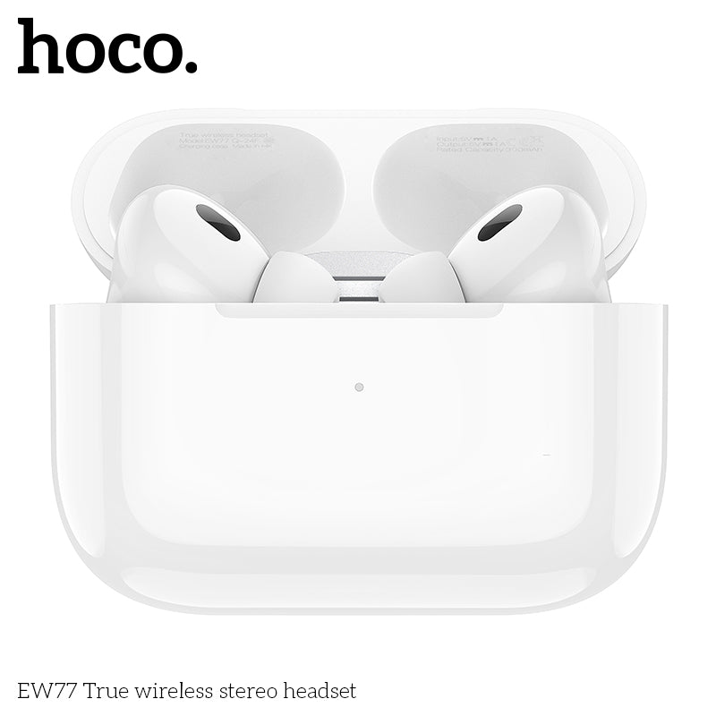 HD_SYNC:EW77 True wireless stereo headset