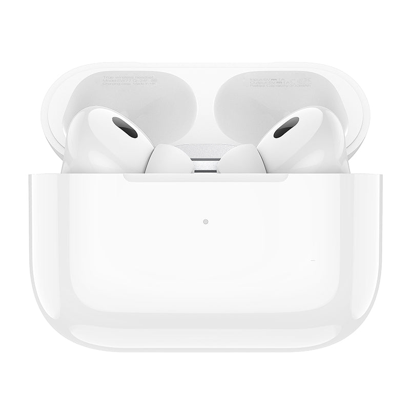 HD_SYNC:EW77 True wireless stereo headset