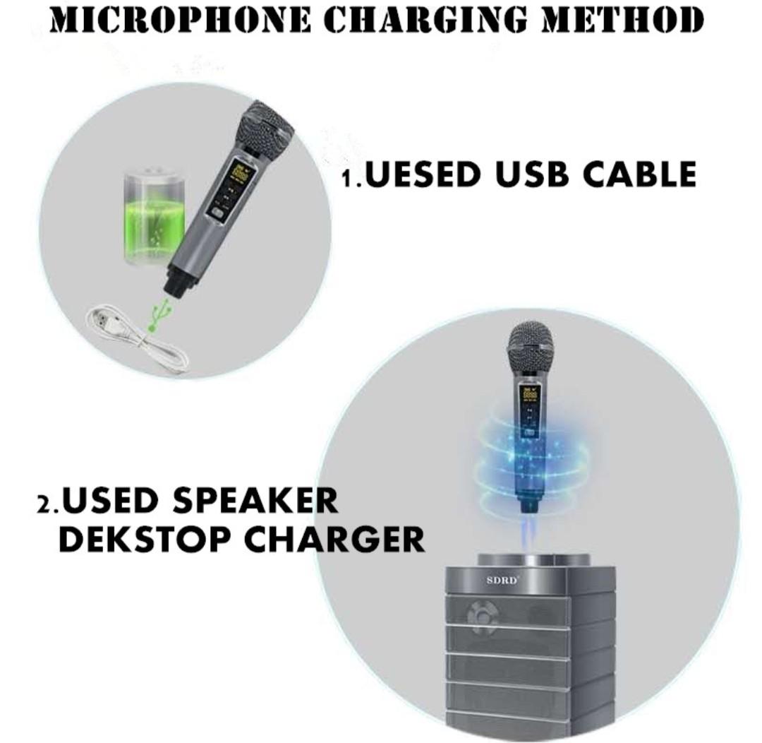 SDRD SD-128 BLUETOOTH SPEAKER Dual Microphone Karaoke Portable Speaker FAMILY KTV KARAOKE
