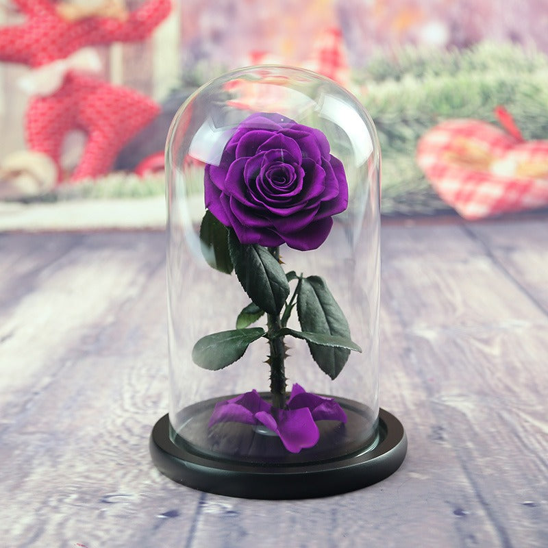 Rose Flower Real Rose Eternal Preserved Fresh Rose Flower in Dome Glass Best - Purple