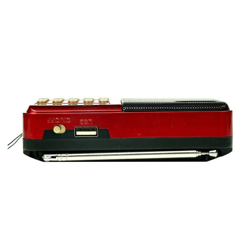 Mini FM Radio