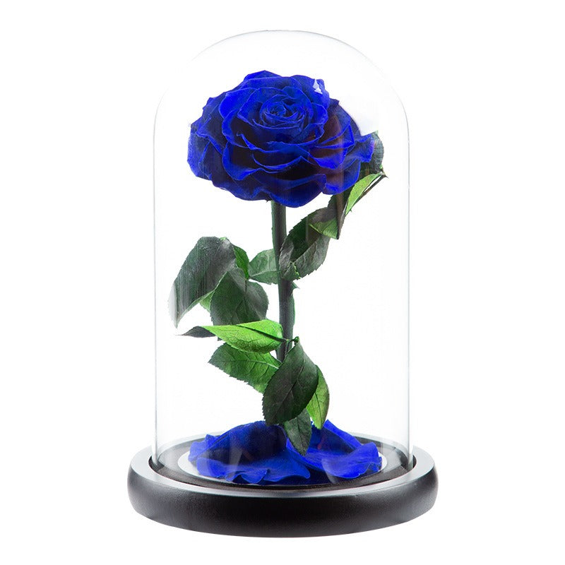 Rose Flower Real Rose Eternal Preserved Fresh Rose Flower in Dome Glass Best - Blue