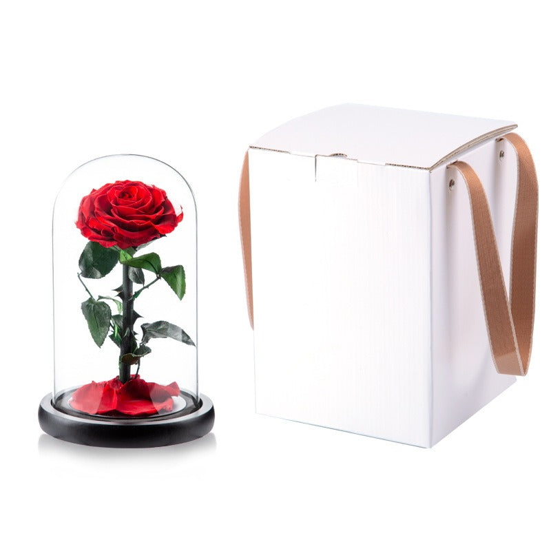 Rose Flower Real Rose Eternal Preserved Fresh Rose Flower in Dome Glass Best  Red