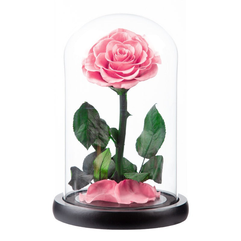 Rose Flower Real Rose Eternal Preserved Fresh Rose Flower in Dome Glass Best - Pink