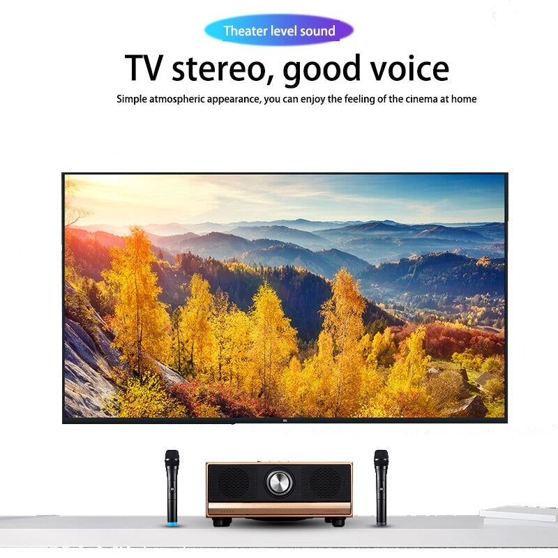 High-power home TV karaoke wooden