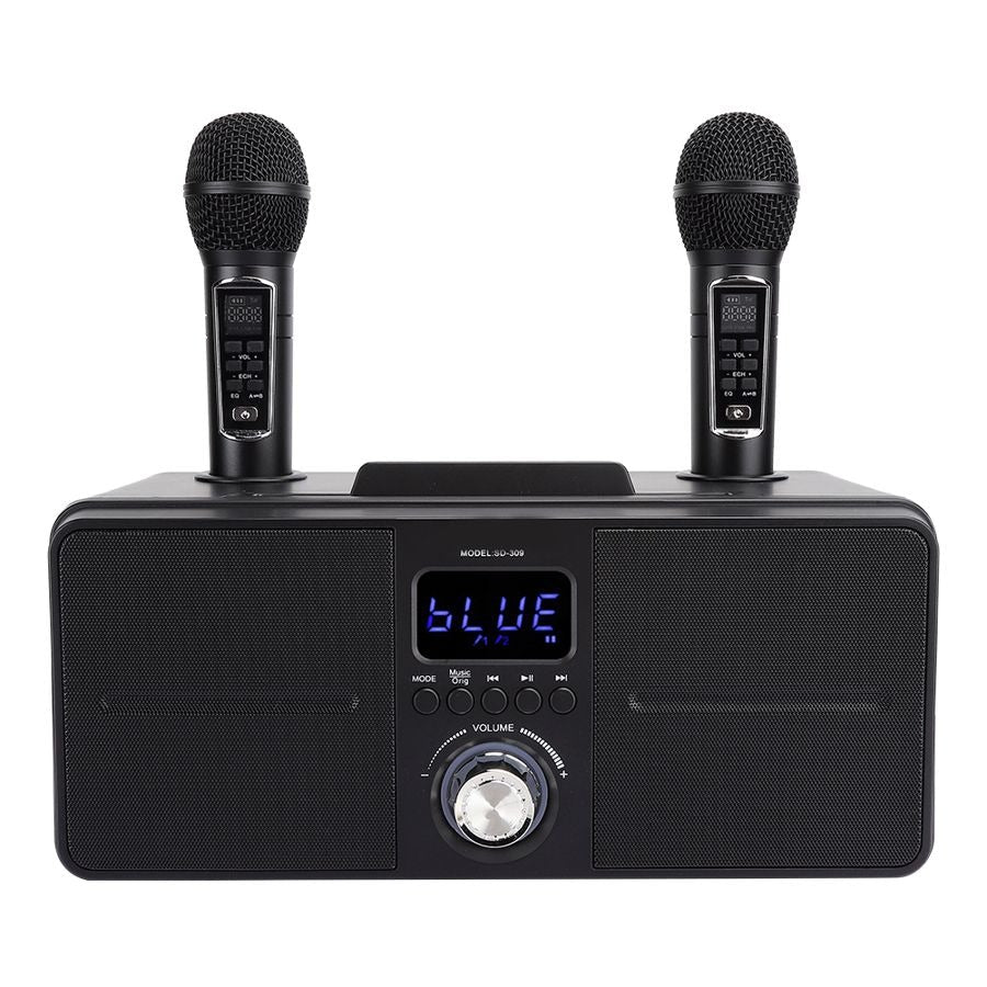 SDRD SD-309 Wireless Bluetooth Karaoke