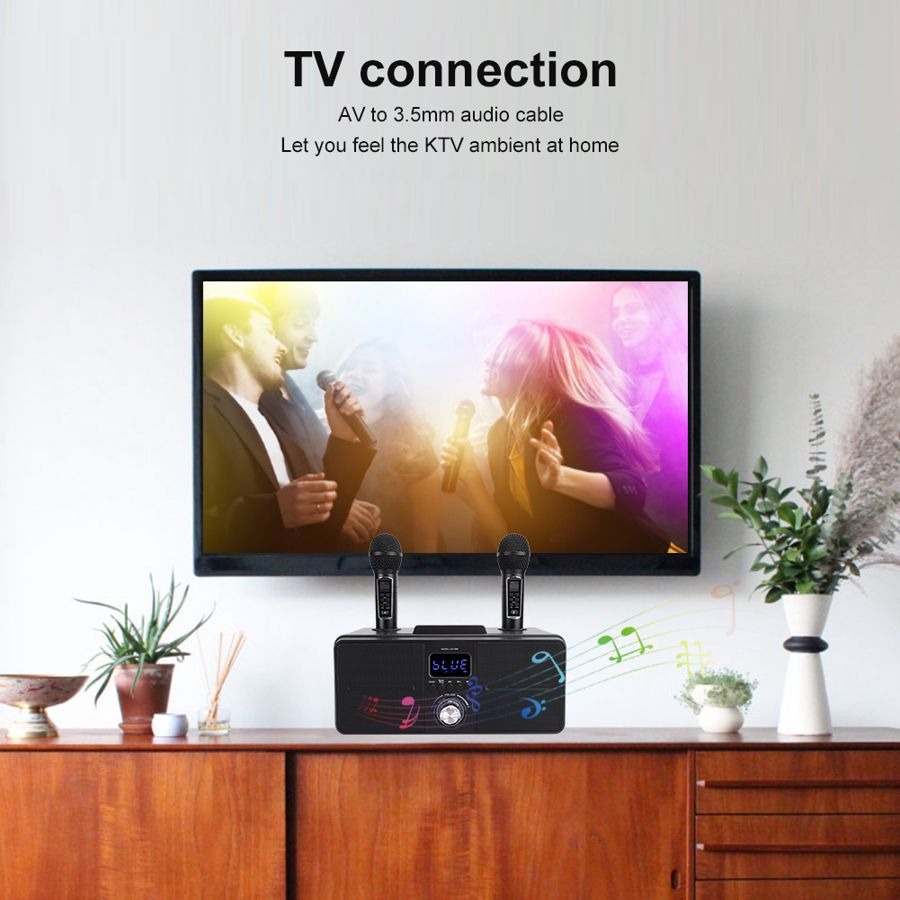 SDRD SD-309 Wireless Bluetooth Karaoke