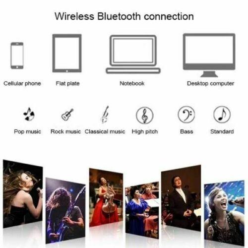 Owl Wireless Bluetooth Speaker With 2 Microphones Home Karaoke sd-306