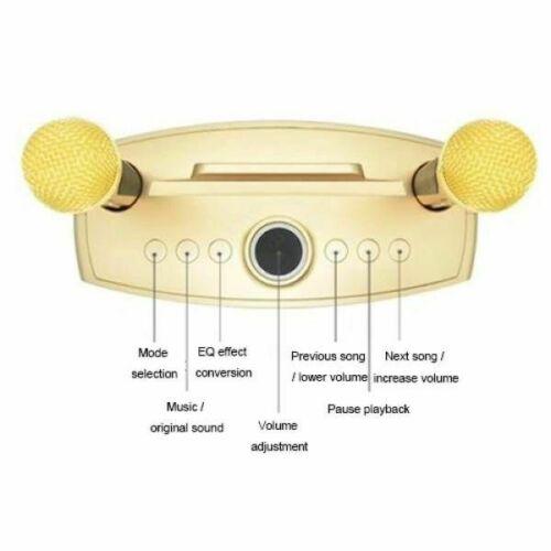 Owl Wireless Bluetooth Speaker With 2 Microphones Home Karaoke sd-306